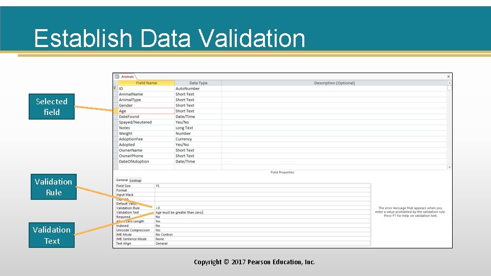 Establish Data Validation Selected field Validation Rule Validation Text Copyright © 2017 Pearson Education,