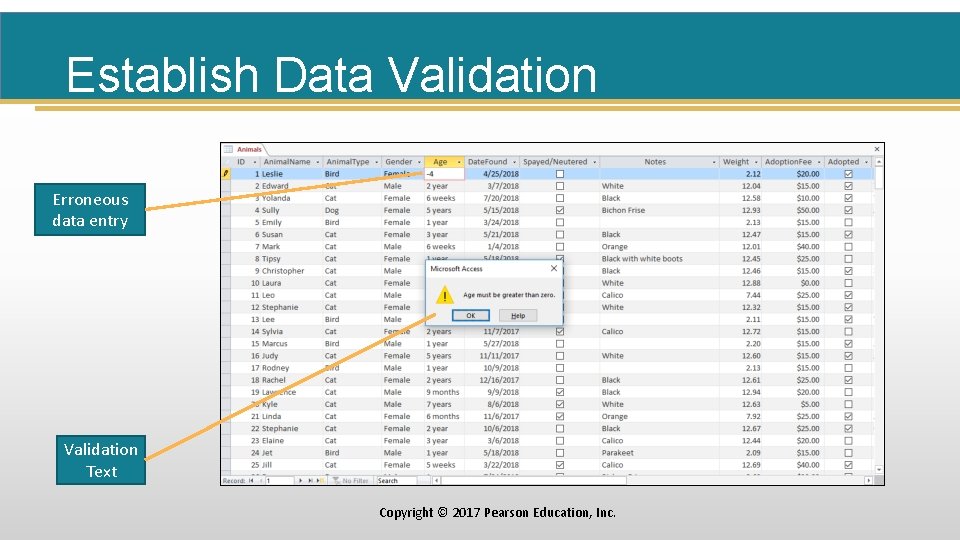 Establish Data Validation Erroneous data entry Validation Text Copyright © 2017 Pearson Education, Inc.