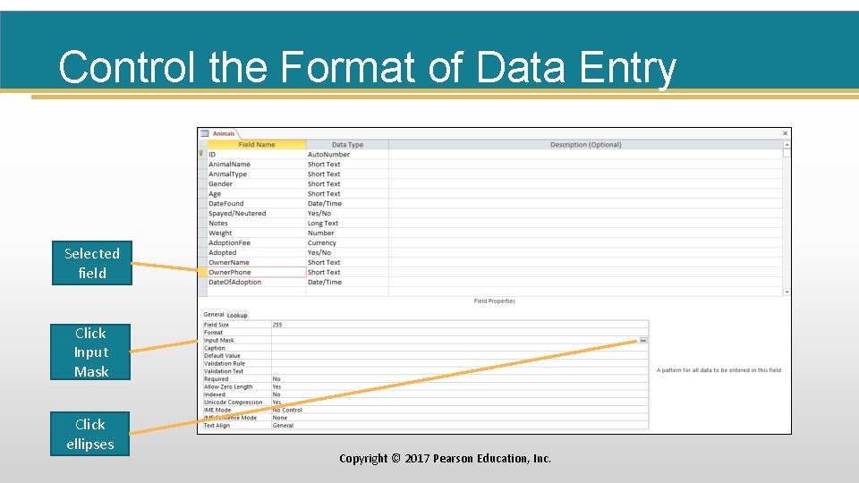 Control the Format of Data Entry Selected field Click Input Mask Click ellipses Copyright