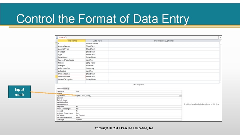 Control the Format of Data Entry Input mask Copyright © 2017 Pearson Education, Inc.