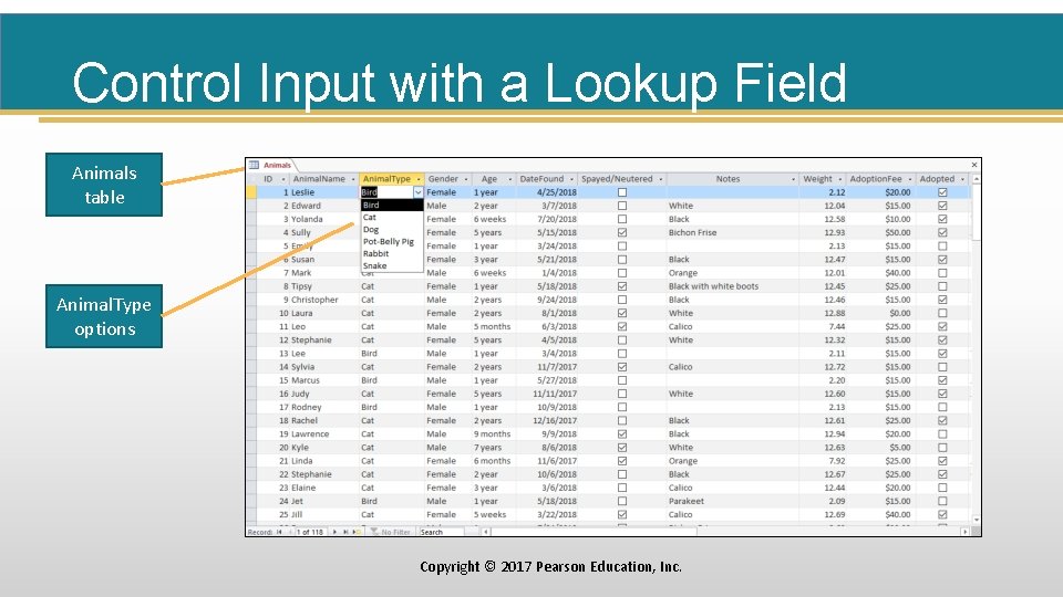 Control Input with a Lookup Field Animals table Animal. Type options Copyright © 2017