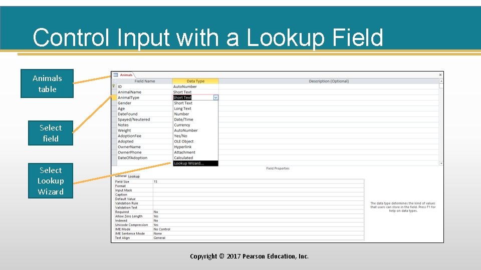 Control Input with a Lookup Field Animals table Select field Select Lookup Wizard Copyright