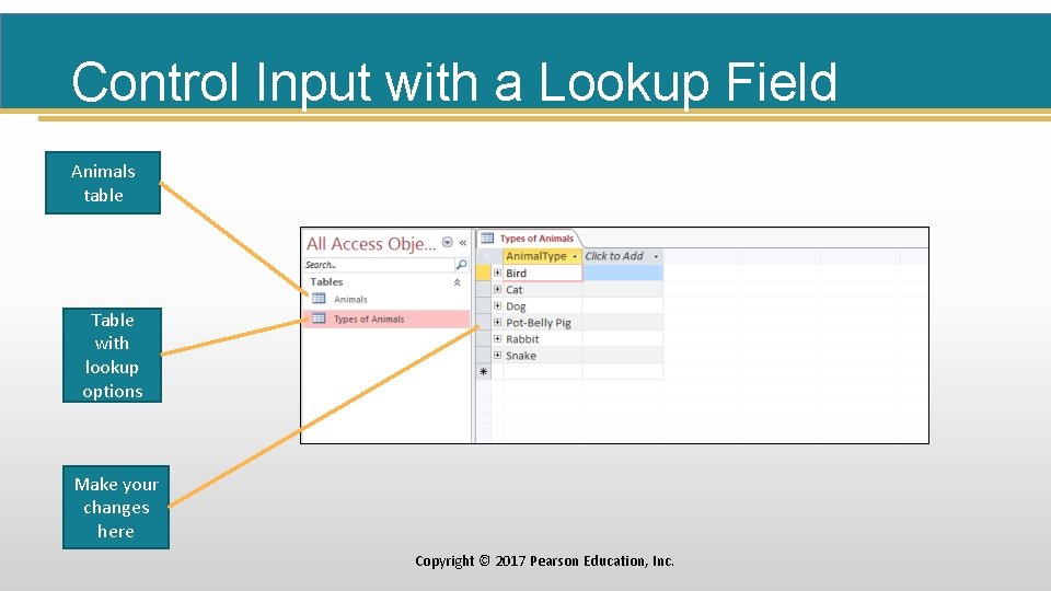 Control Input with a Lookup Field Animals table Table with lookup options Make your