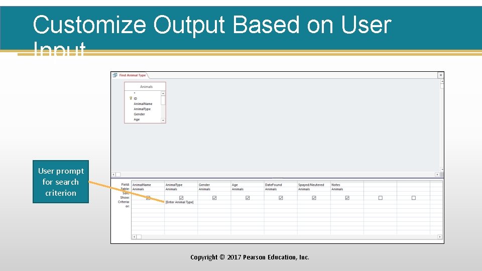 Customize Output Based on User Input User prompt for search criterion Copyright © 2017