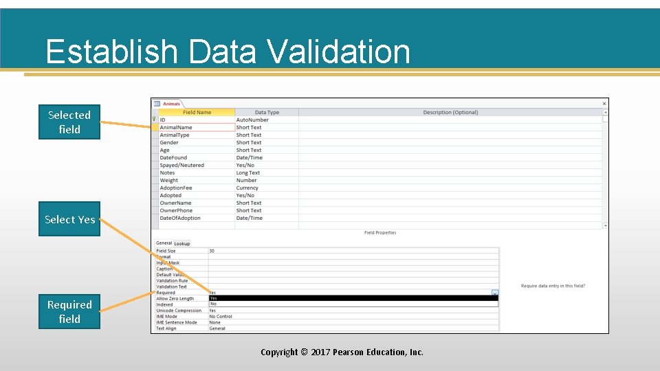 Establish Data Validation Selected field Select Yes Required field Copyright © 2017 Pearson Education,