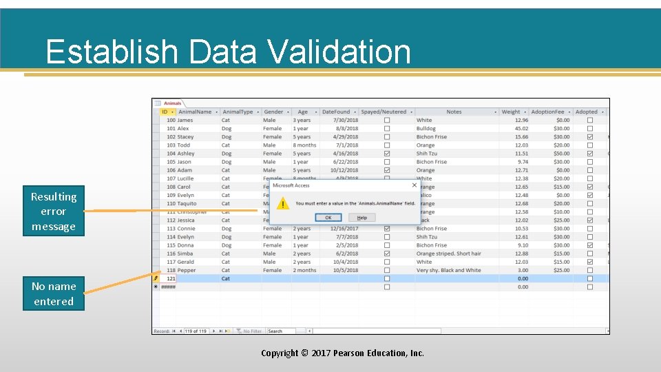 Establish Data Validation Resulting error message No name entered Copyright © 2017 Pearson Education,