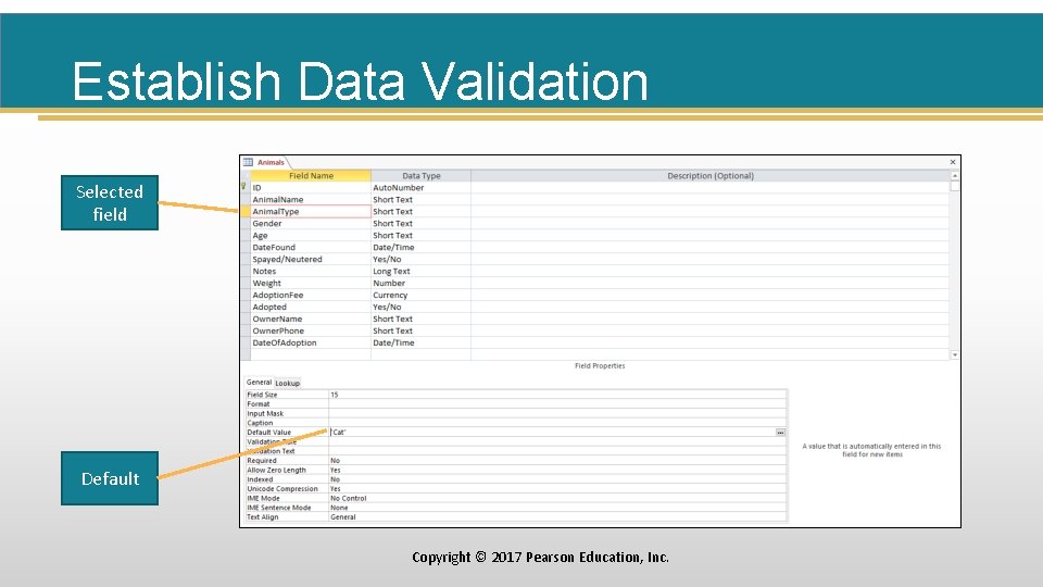 Establish Data Validation Selected field Default Copyright © 2017 Pearson Education, Inc. 