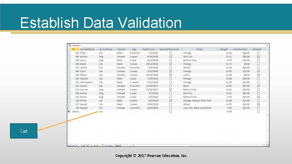 Establish Data Validation Cat Copyright © 2017 Pearson Education, Inc. 