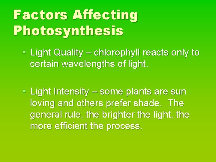Factors Affecting Photosynthesis § Light Quality – chlorophyll reacts only to certain wavelengths of