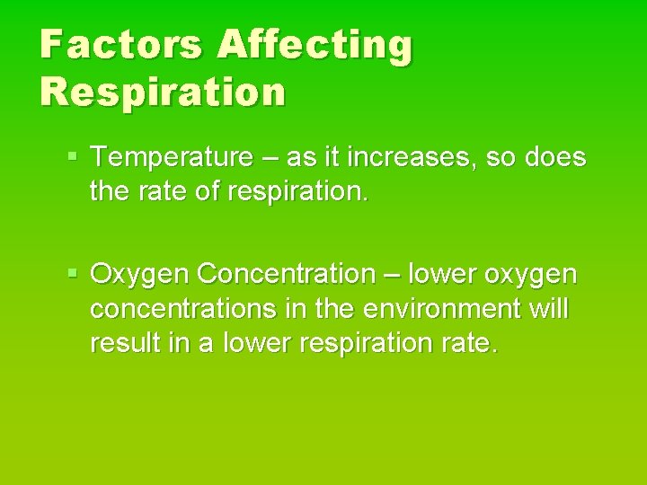 Factors Affecting Respiration § Temperature – as it increases, so does the rate of