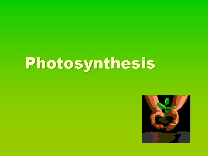 Photosynthesis 