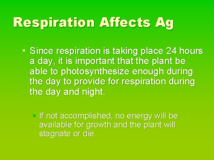 Respiration Affects Ag § Since respiration is taking place 24 hours a day, it