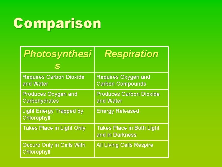 Comparison Photosynthesi s Respiration Requires Carbon Dioxide and Water Requires Oxygen and Carbon Compounds