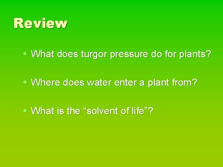 Review § What does turgor pressure do for plants? § Where does water enter