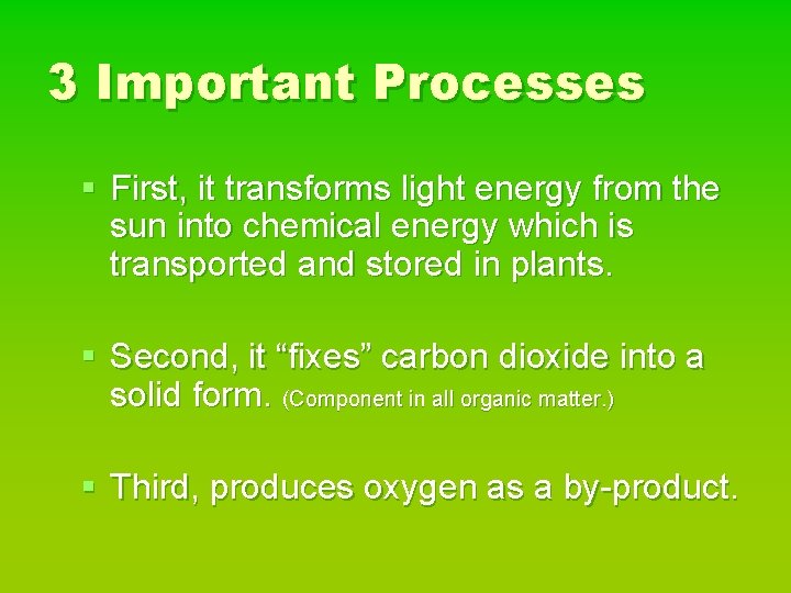 3 Important Processes § First, it transforms light energy from the sun into chemical