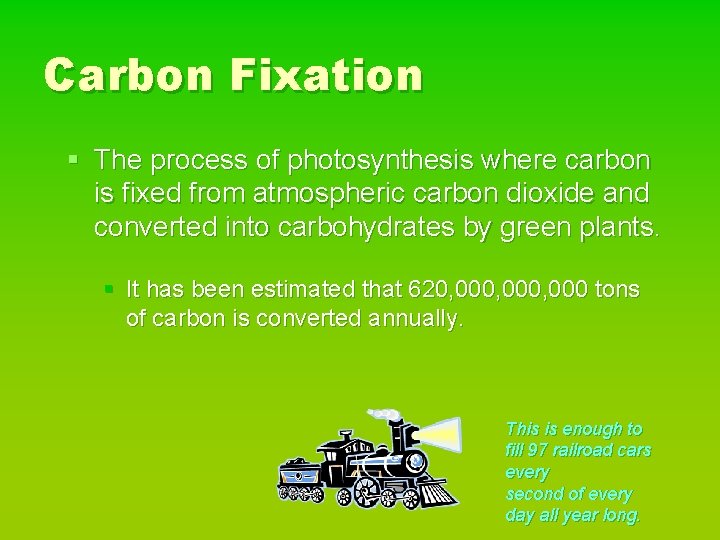 Carbon Fixation § The process of photosynthesis where carbon is fixed from atmospheric carbon
