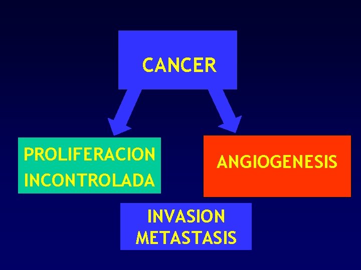 CANCER PROLIFERACION INCONTROLADA ANGIOGENESIS INVASION METASTASIS 