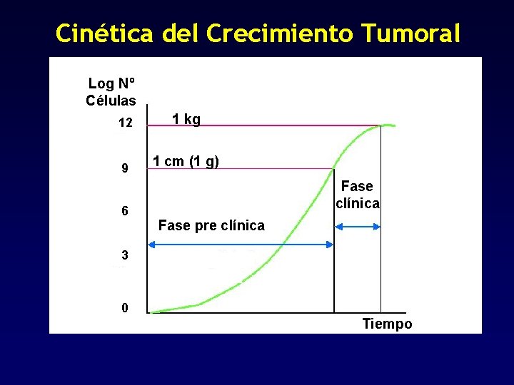 Cinética del Crecimiento Tumoral Log Nº Células 12 1 kg 9 1 cm (1