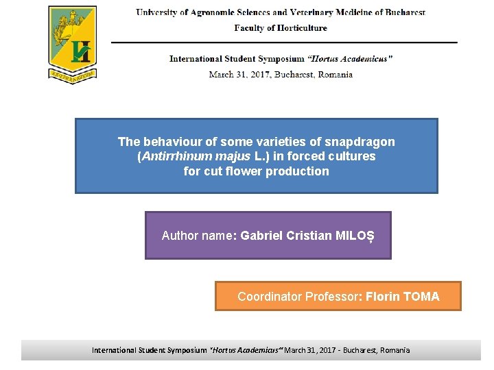 The behaviour of some varieties of snapdragon (Antirrhinum majus L. ) in forced cultures