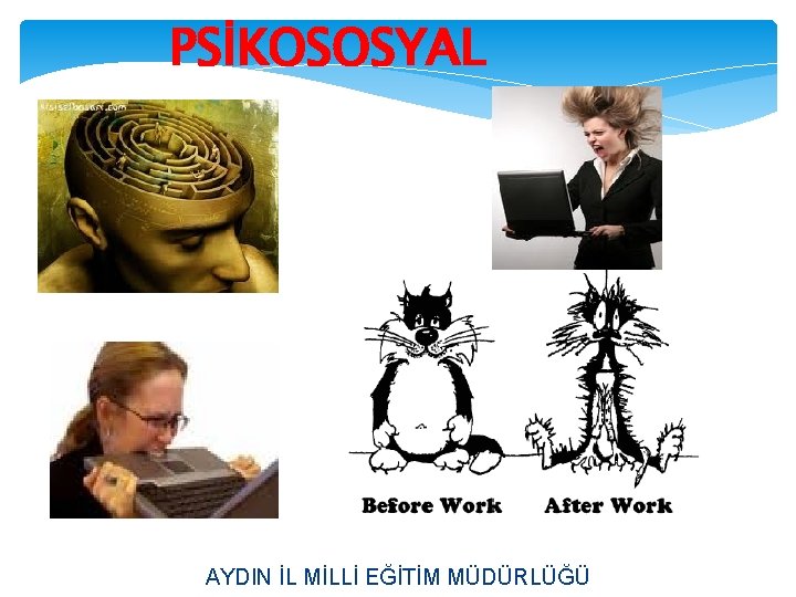 PSİKOSOSYAL AYDIN İL MİLLİ EĞİTİM MÜDÜRLÜĞÜ 