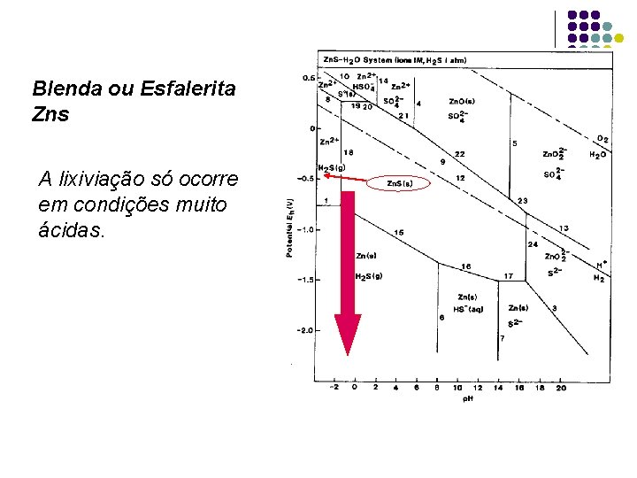 Blenda ou Esfalerita Zns A lixiviação só ocorre em condições muito ácidas. 