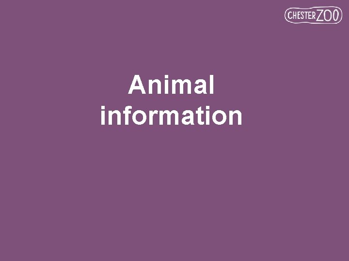 Animal information 