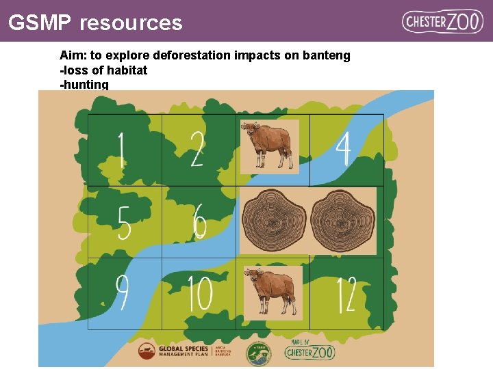 GSMP resources Aim: to explore deforestation impacts on banteng -loss of habitat -hunting 