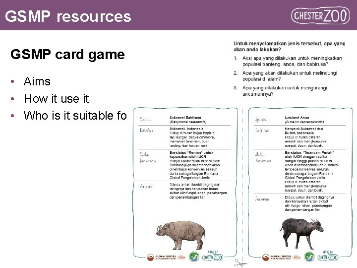 GSMP resources GSMP card game • Aims • How it use it • Who