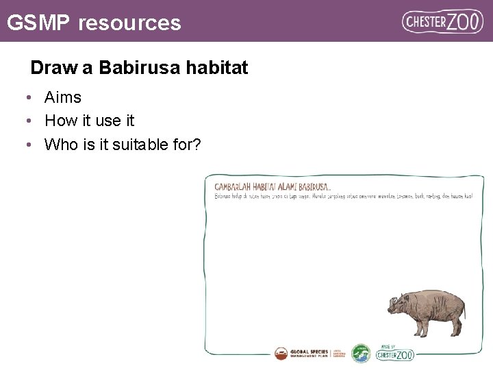 GSMP resources Draw a Babirusa habitat • Aims • How it use it •