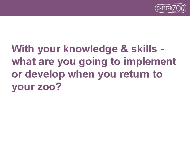 With your knowledge & skills what are you going to implement or develop when