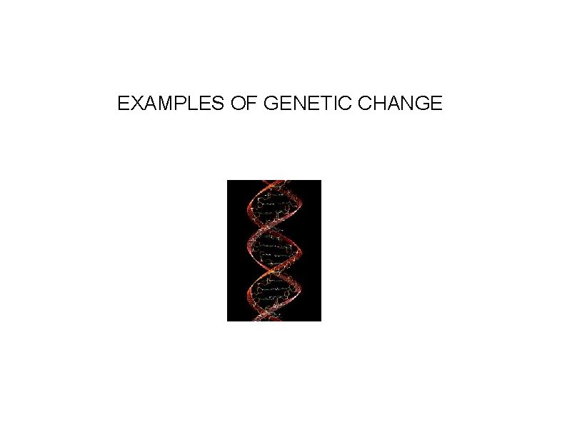 EXAMPLES OF GENETIC CHANGE 