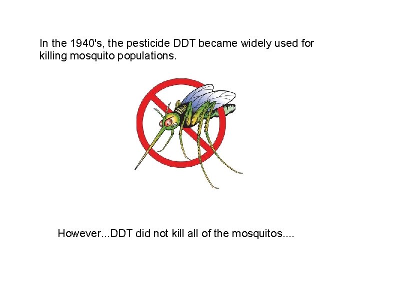 In the 1940's, the pesticide DDT became widely used for killing mosquito populations. However.