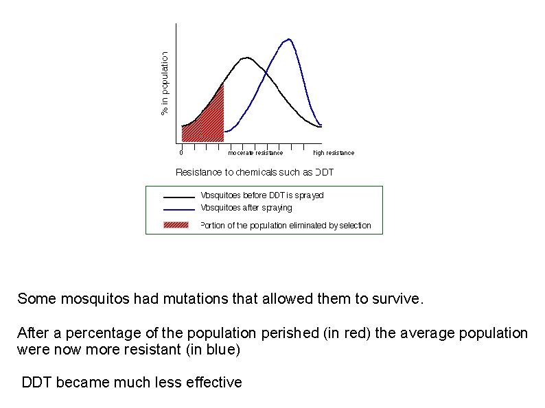 Some mosquitos had mutations that allowed them to survive. After a percentage of the