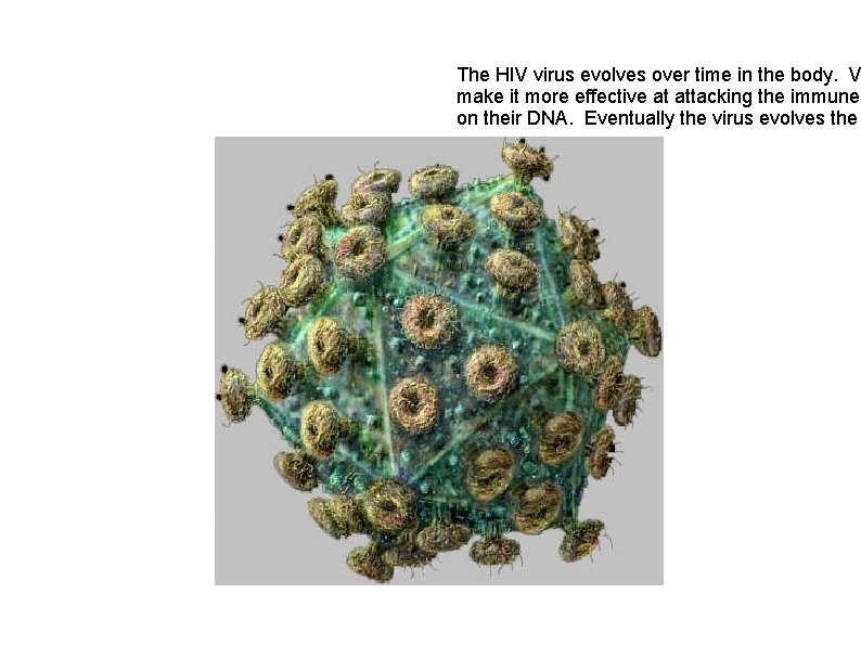 The HIV virus evolves over time in the body. V make it more effective