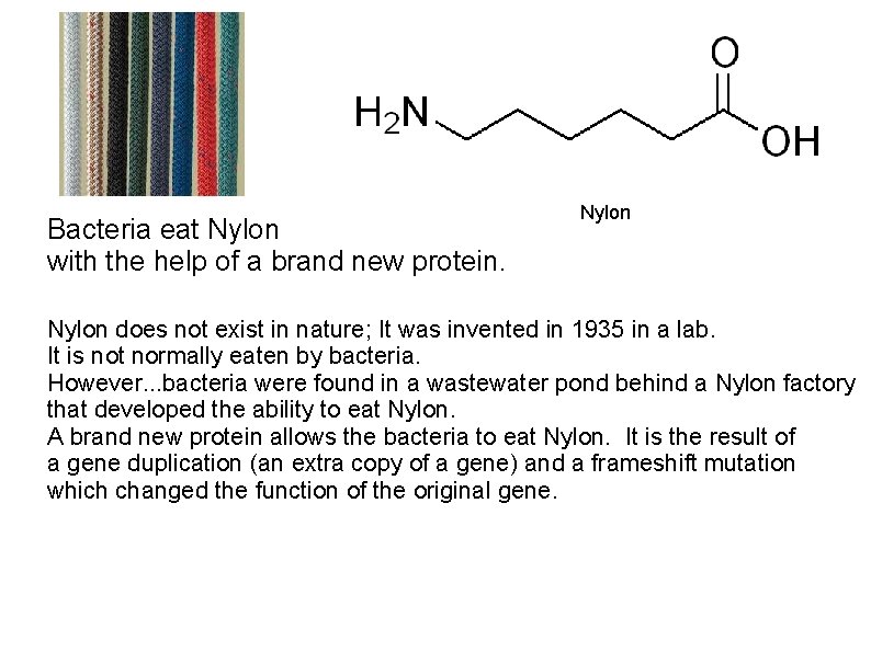Bacteria eat Nylon with the help of a brand new protein. Nylon does not