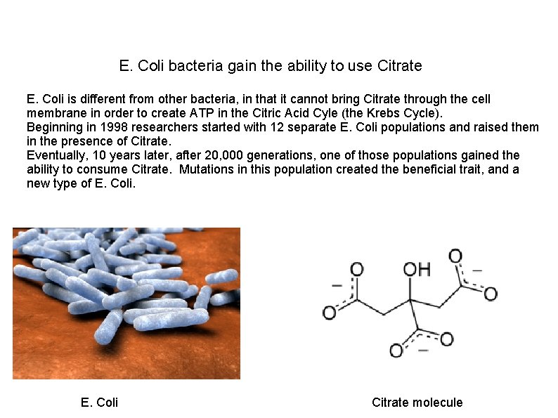 E. Coli bacteria gain the ability to use Citrate E. Coli is different from