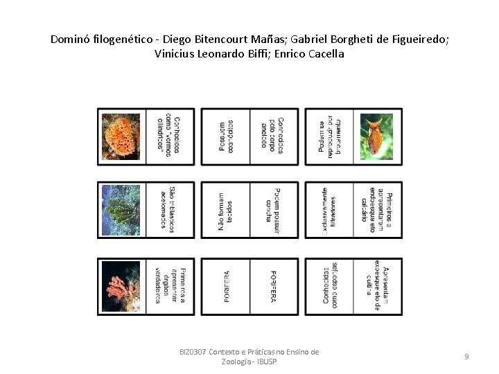 Dominó filogenético - Diego Bitencourt Mañas; Gabriel Borgheti de Figueiredo; Vinicius Leonardo Biffi; Enrico