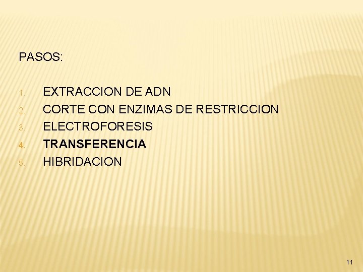 PASOS: 1. 2. 3. 4. 5. EXTRACCION DE ADN CORTE CON ENZIMAS DE RESTRICCION