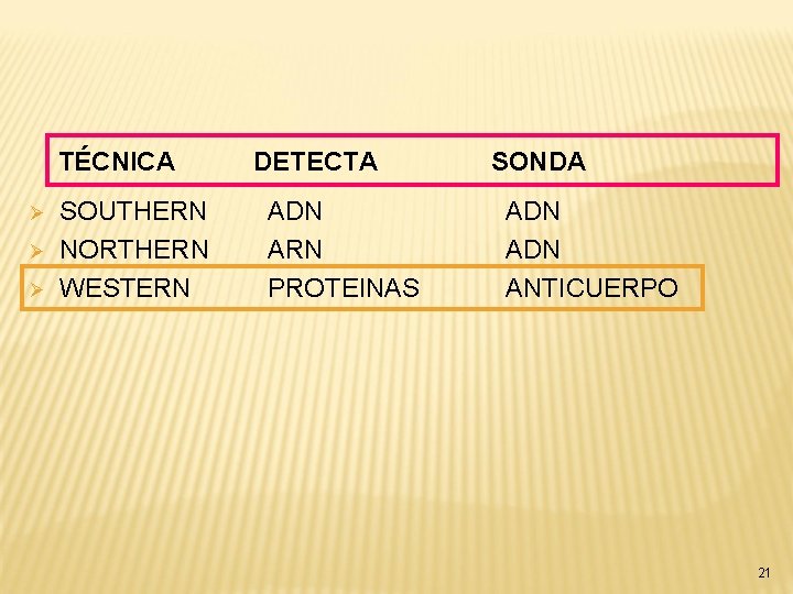 TÉCNICA Ø Ø Ø SOUTHERN NORTHERN WESTERN DETECTA ADN ARN PROTEINAS SONDA ADN ANTICUERPO