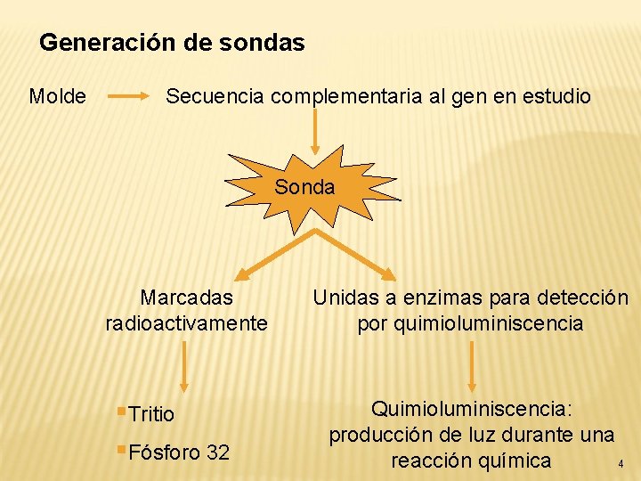 Generación de sondas Molde Secuencia complementaria al gen en estudio Sonda Marcadas radioactivamente §Tritio