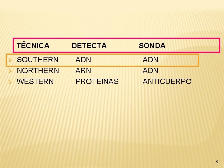 TÉCNICA Ø Ø Ø SOUTHERN NORTHERN WESTERN DETECTA ADN ARN PROTEINAS SONDA ADN ANTICUERPO