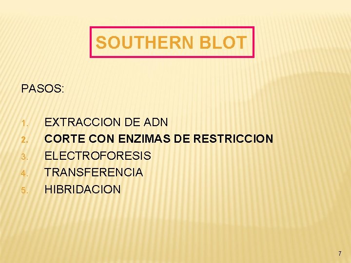 SOUTHERN BLOT PASOS: 1. 2. 3. 4. 5. EXTRACCION DE ADN CORTE CON ENZIMAS