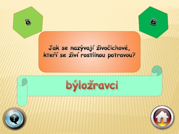 B 8 býložravci 