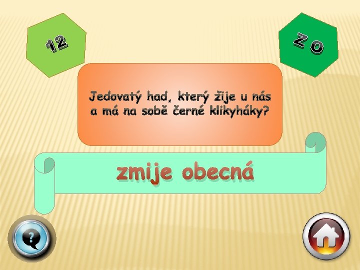 ZO 12 zmije obecná 