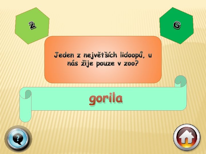 G 2 gorila 