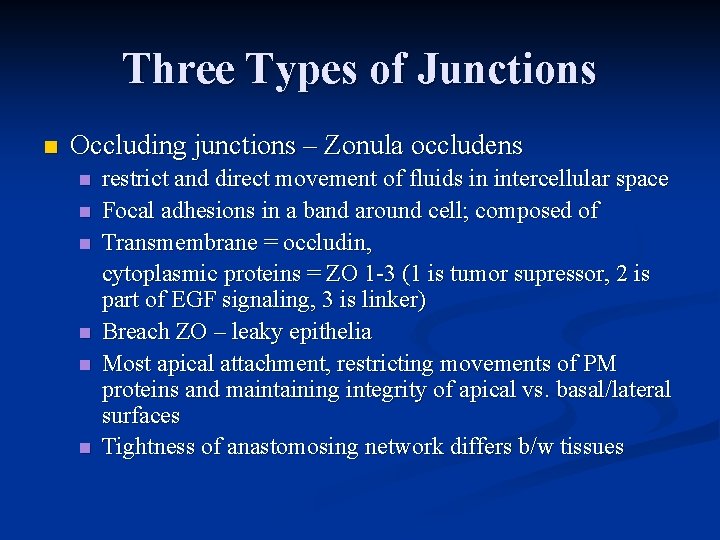 Three Types of Junctions n Occluding junctions – Zonula occludens n n n restrict