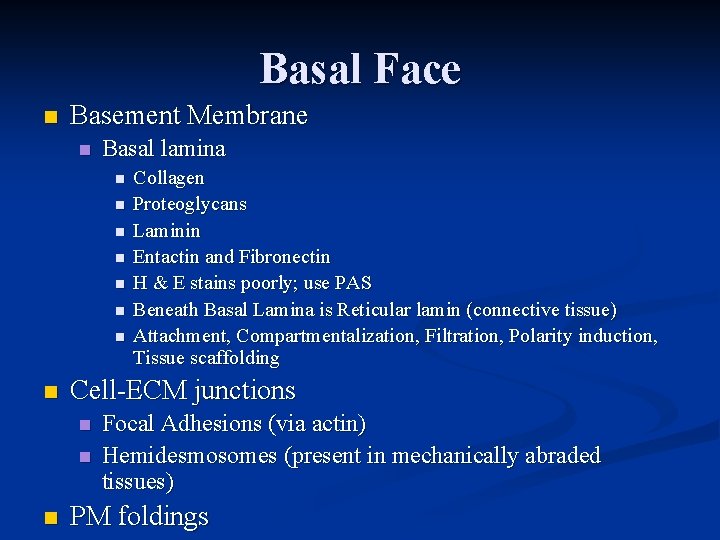 Basal Face n Basement Membrane n Basal lamina n n n n Cell-ECM junctions