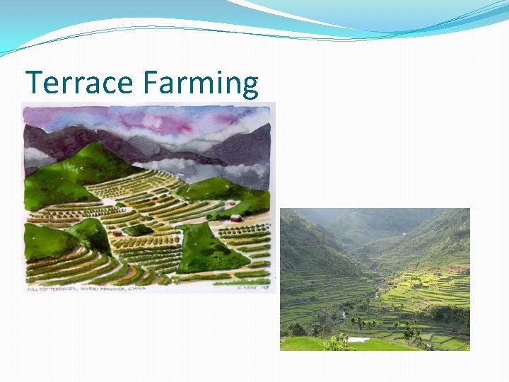 Terrace Farming Terrace Farming