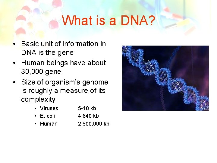 What is a DNA? • Basic unit of information in DNA is the gene