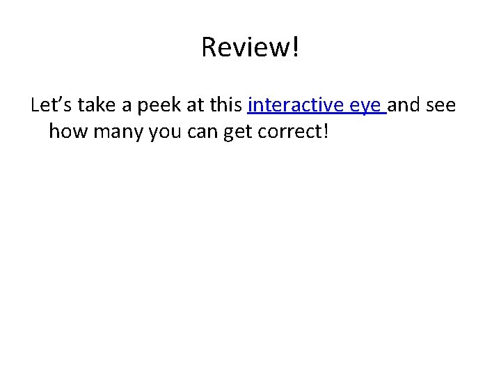 Review! Let’s take a peek at this interactive eye and see how many you